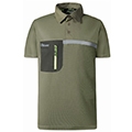 Polo u-power