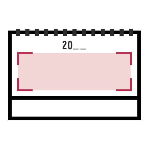 Copertina: 280 x 70 mm