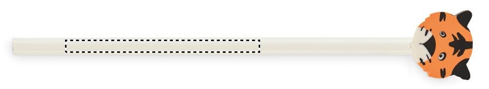 Vorderseite: 80x5 mm