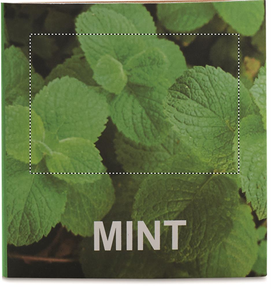 Fronte: 60x40 mm