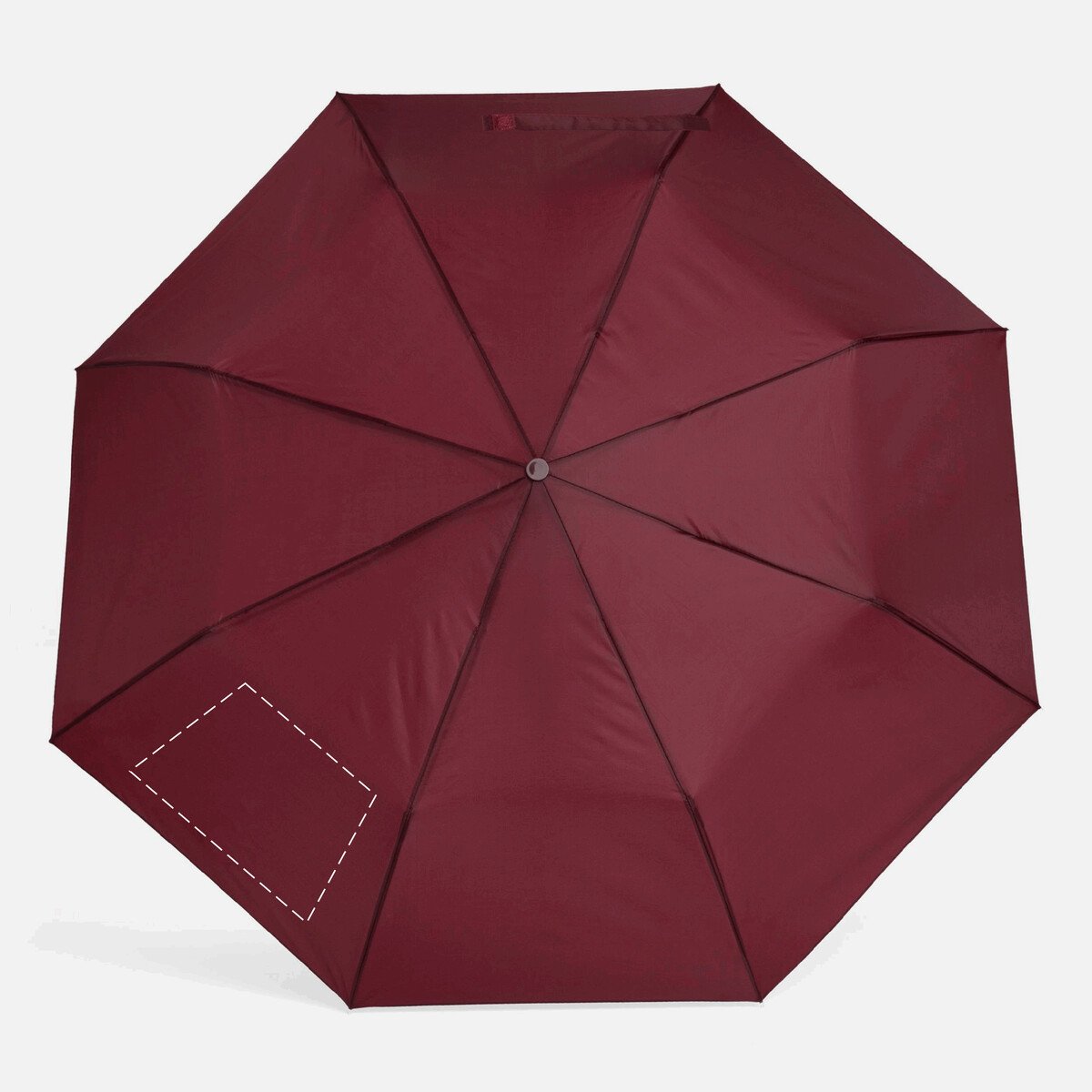 Arrière: 50cm²
