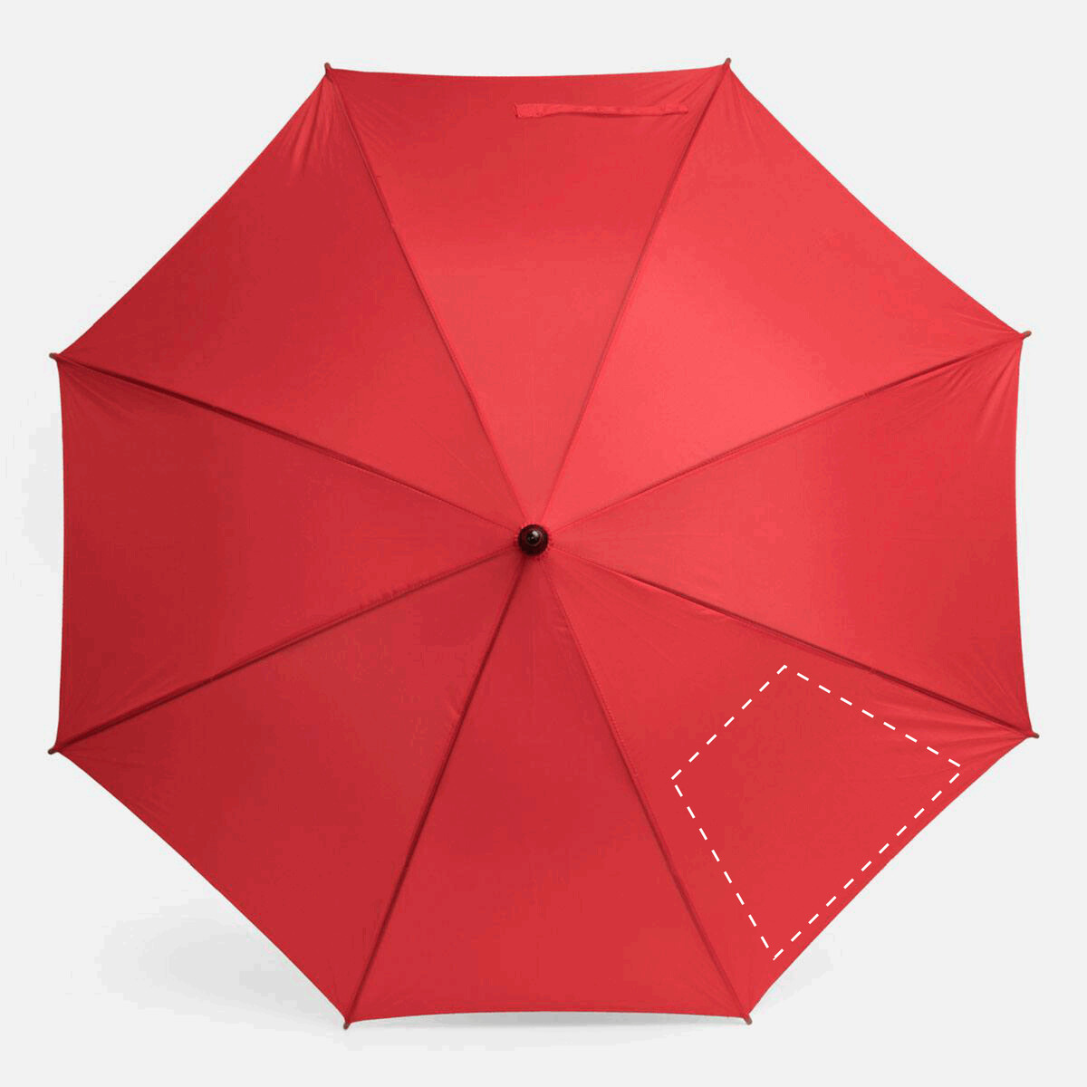 Arrière: 270/160x200mm (430cm²)