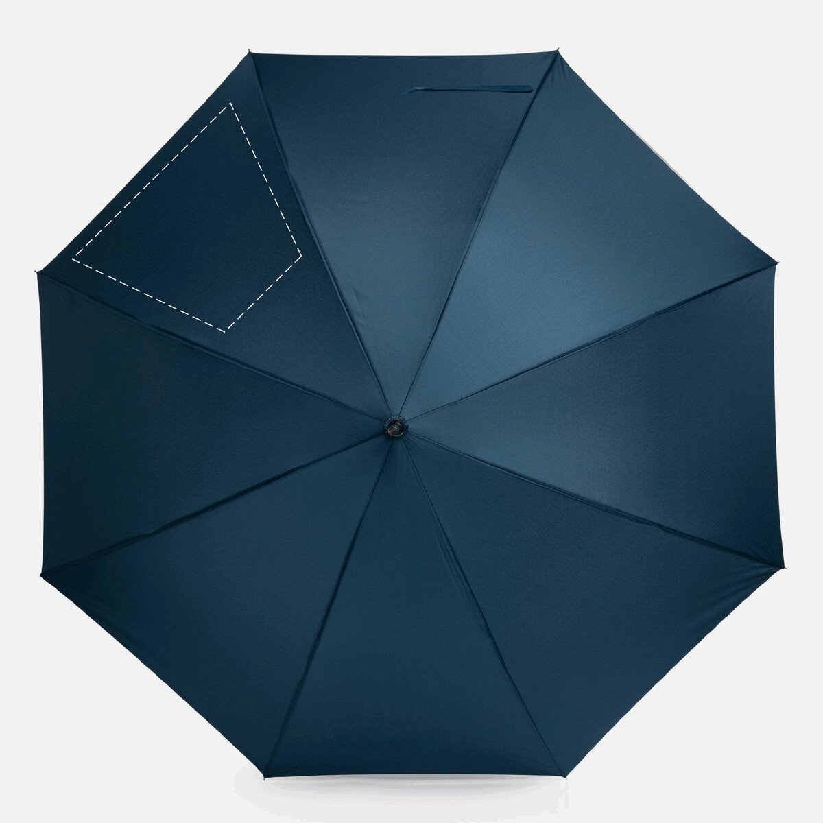 Arrière: 50cm²