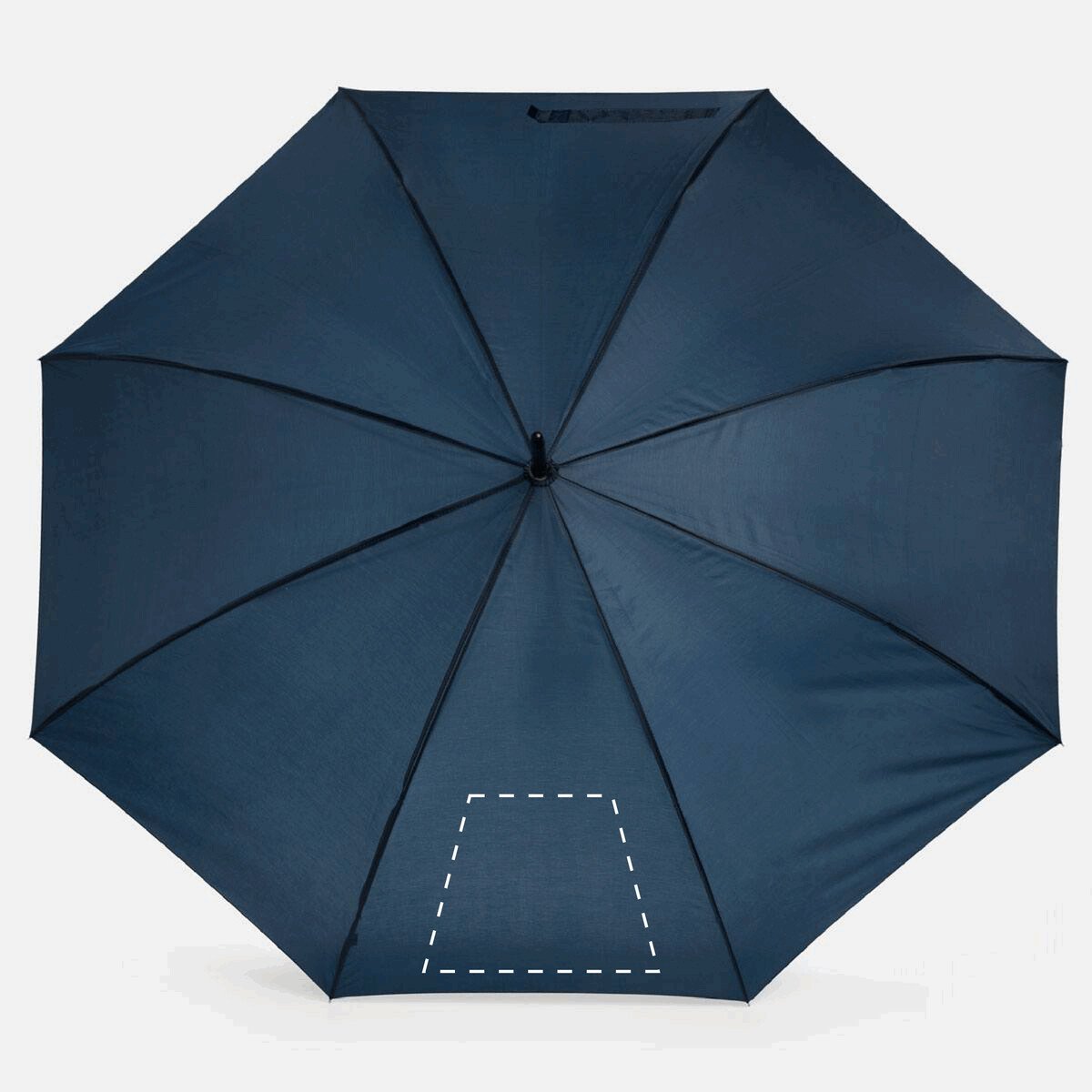 Rückseite: 300cm²