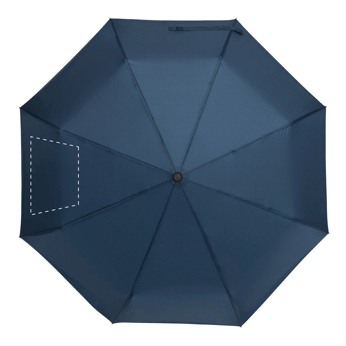 spicchio3: 50cm²