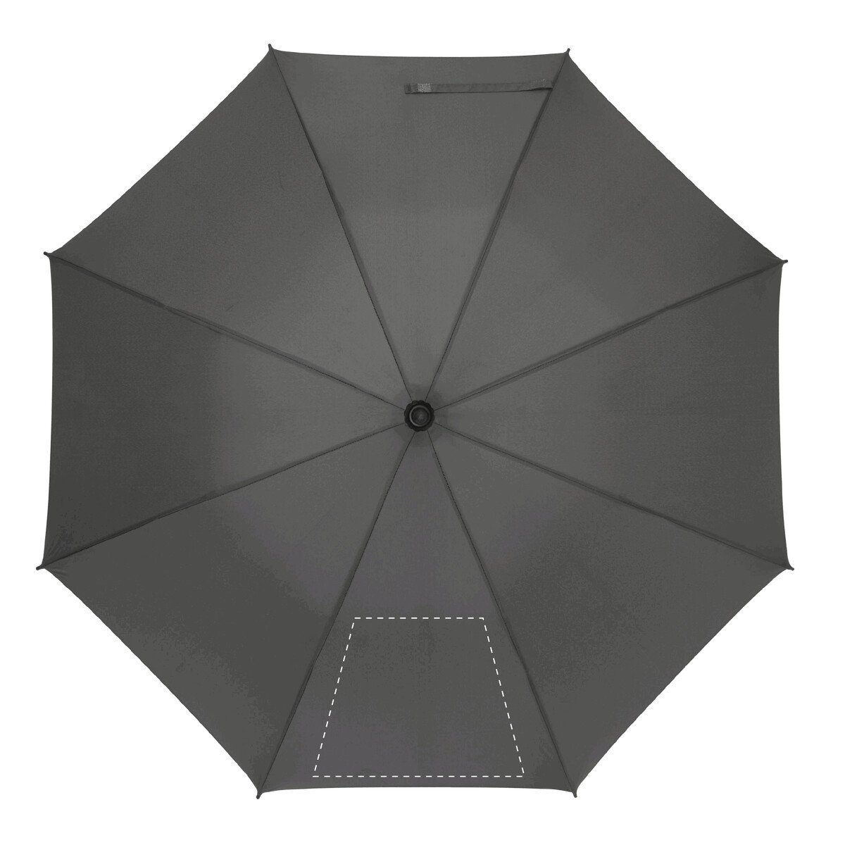 spicchio3: 50cm²